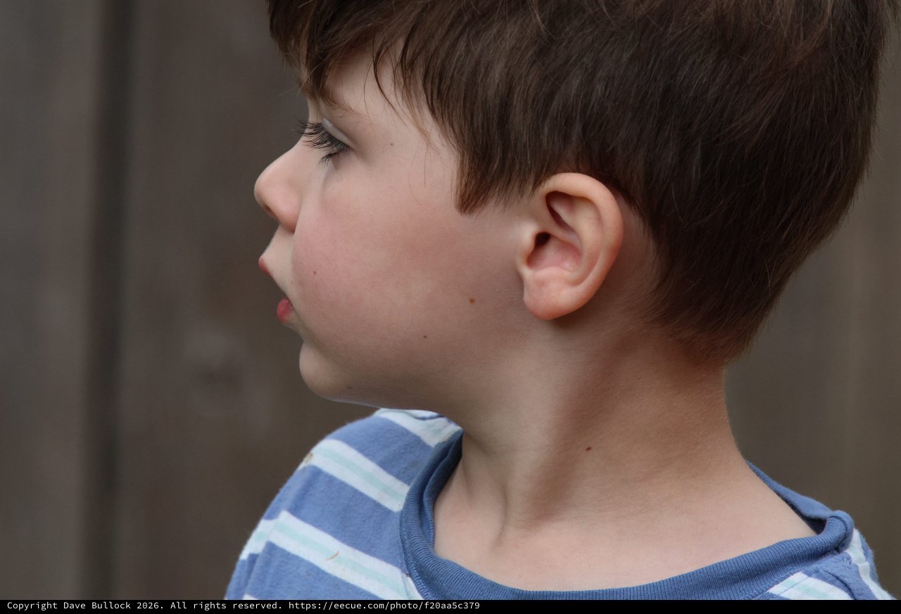 Young Boy in Blue Striped Shirt - Side Profile Portrait
