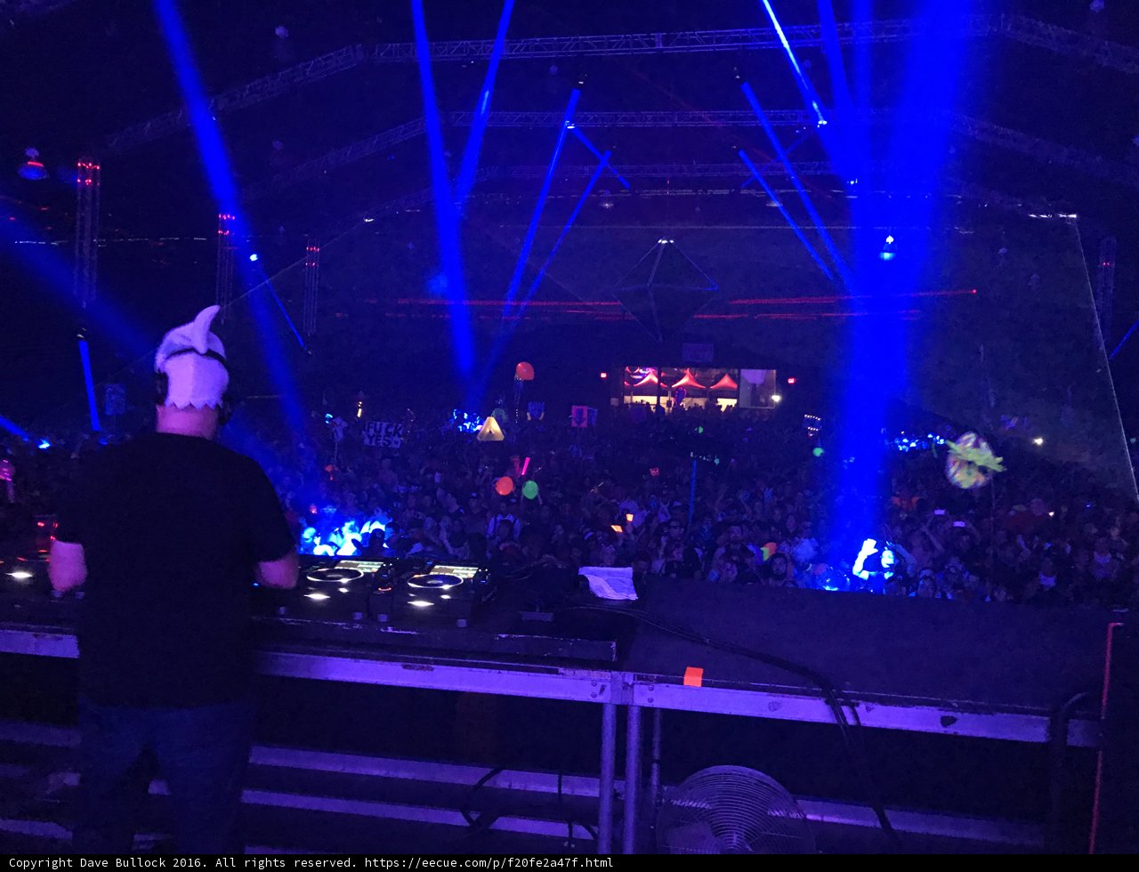 DJ Rocks the Night Away