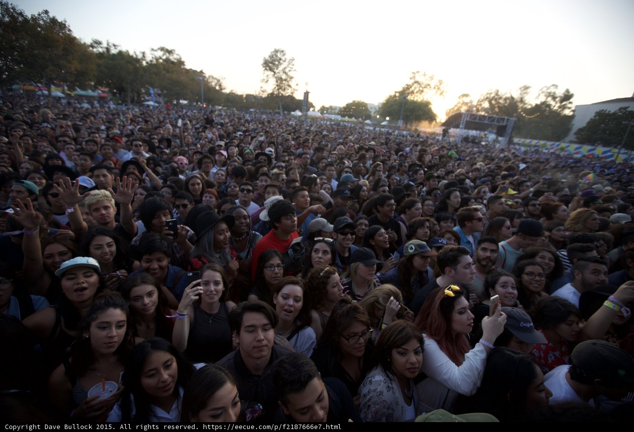 Massive Festival Audience