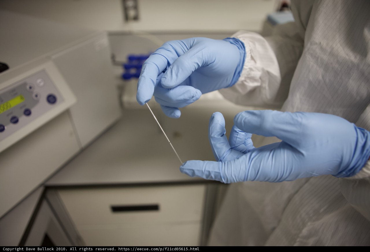 A Scientist Working in the Lab