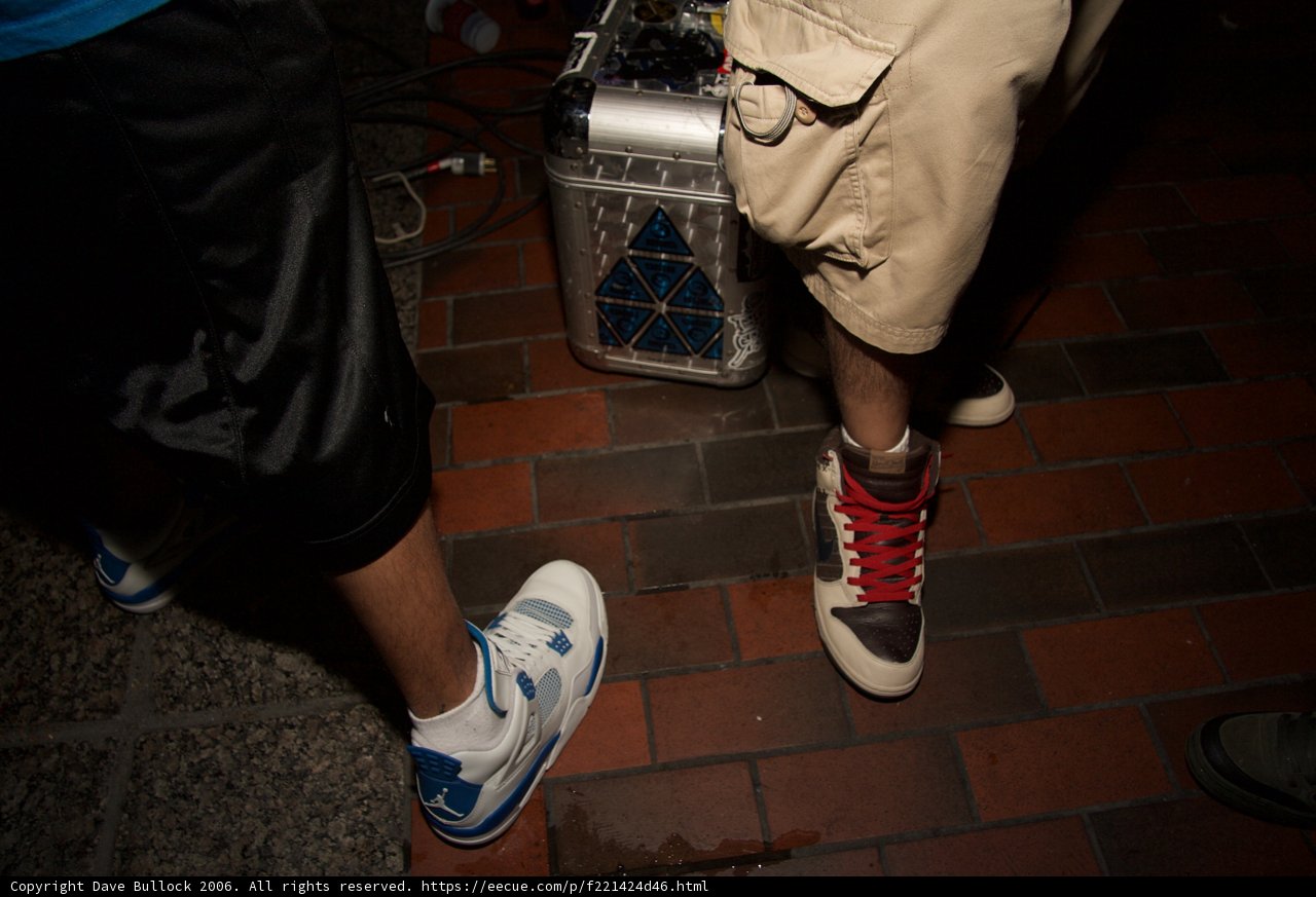 Stylish Sneaker Selection