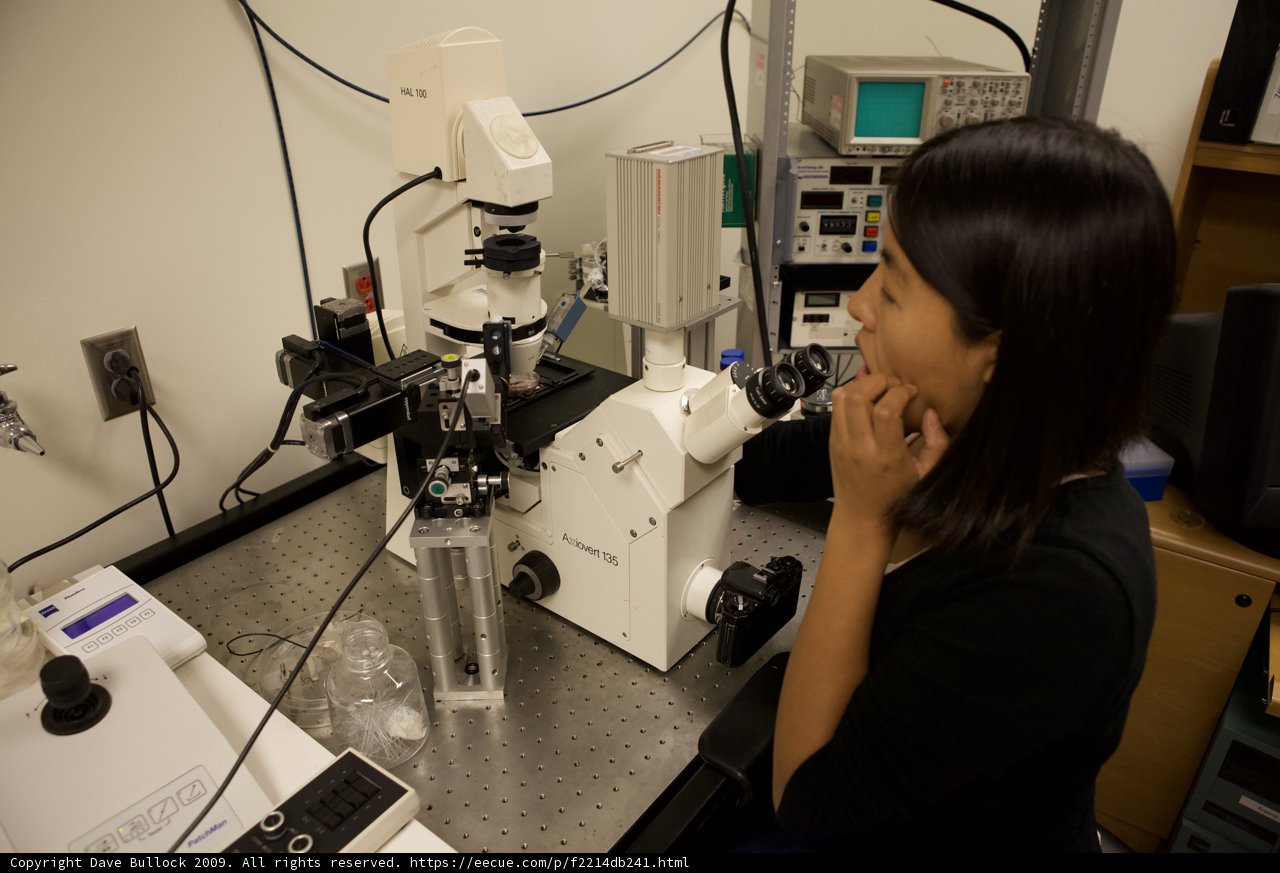The Woman in the Lab