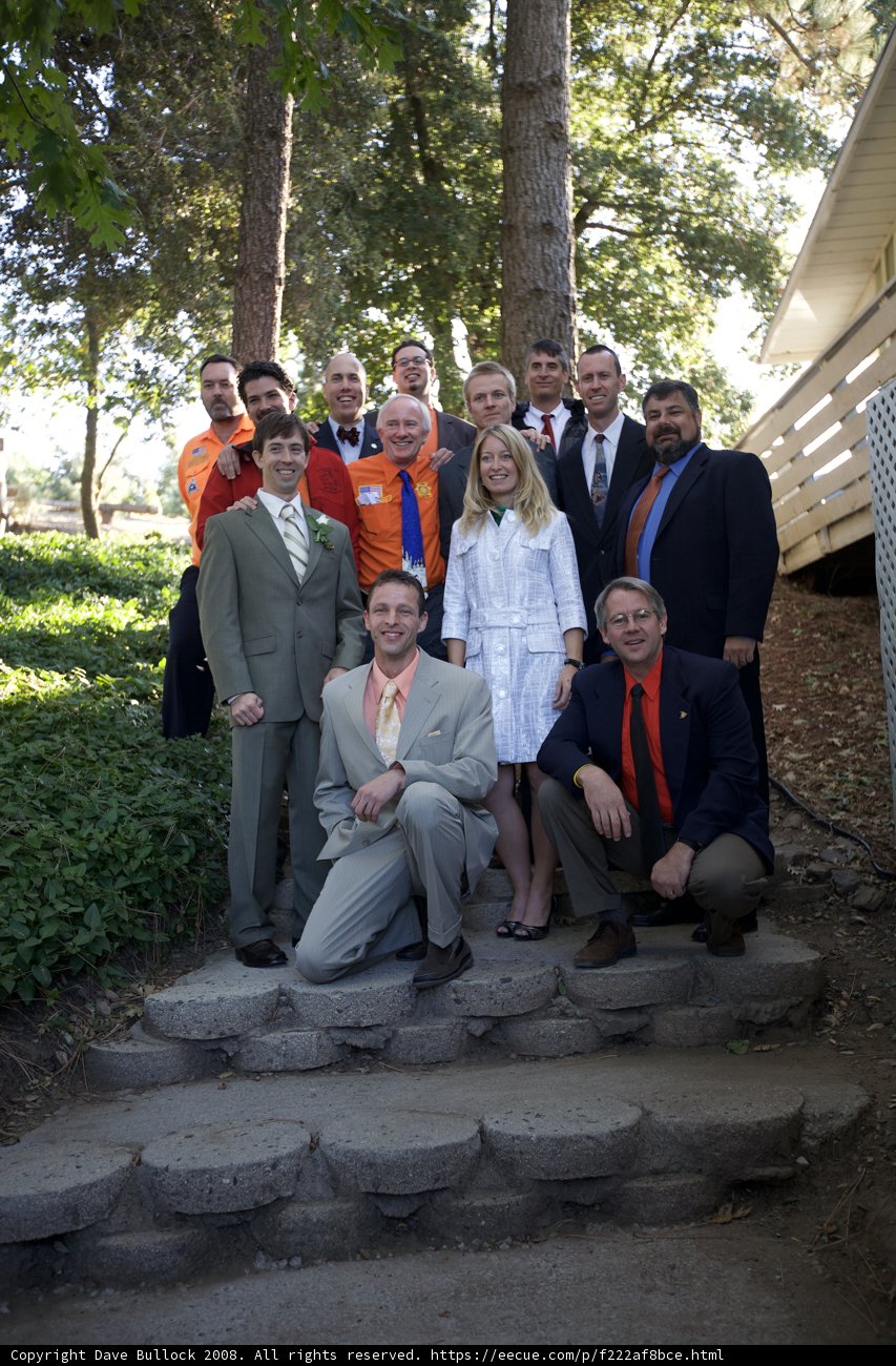 The Truitt Wedding Party: A Group Portrait