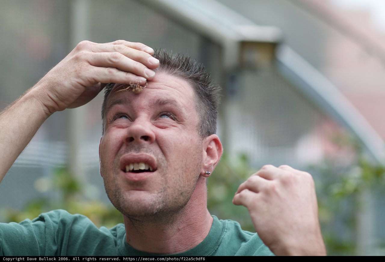 Man holding his head in despair