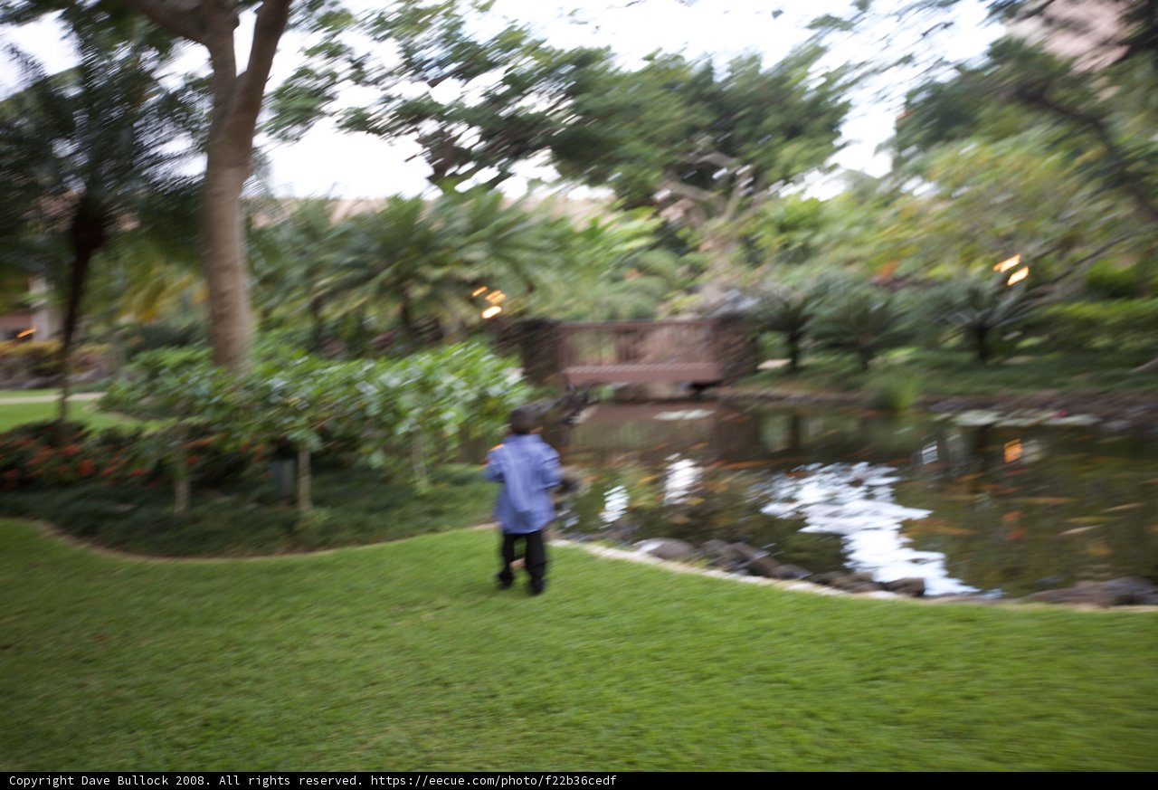 Serenity in the Park