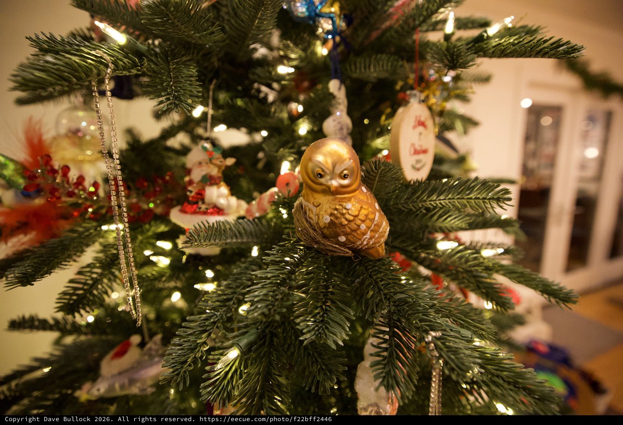 Golden Owl Ornament on Decorated Christmas Tree