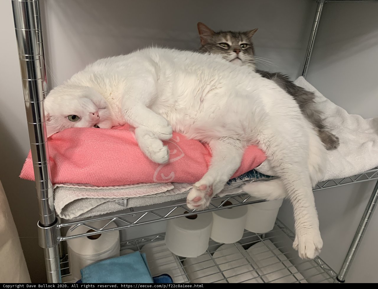 Bathroom Buddies