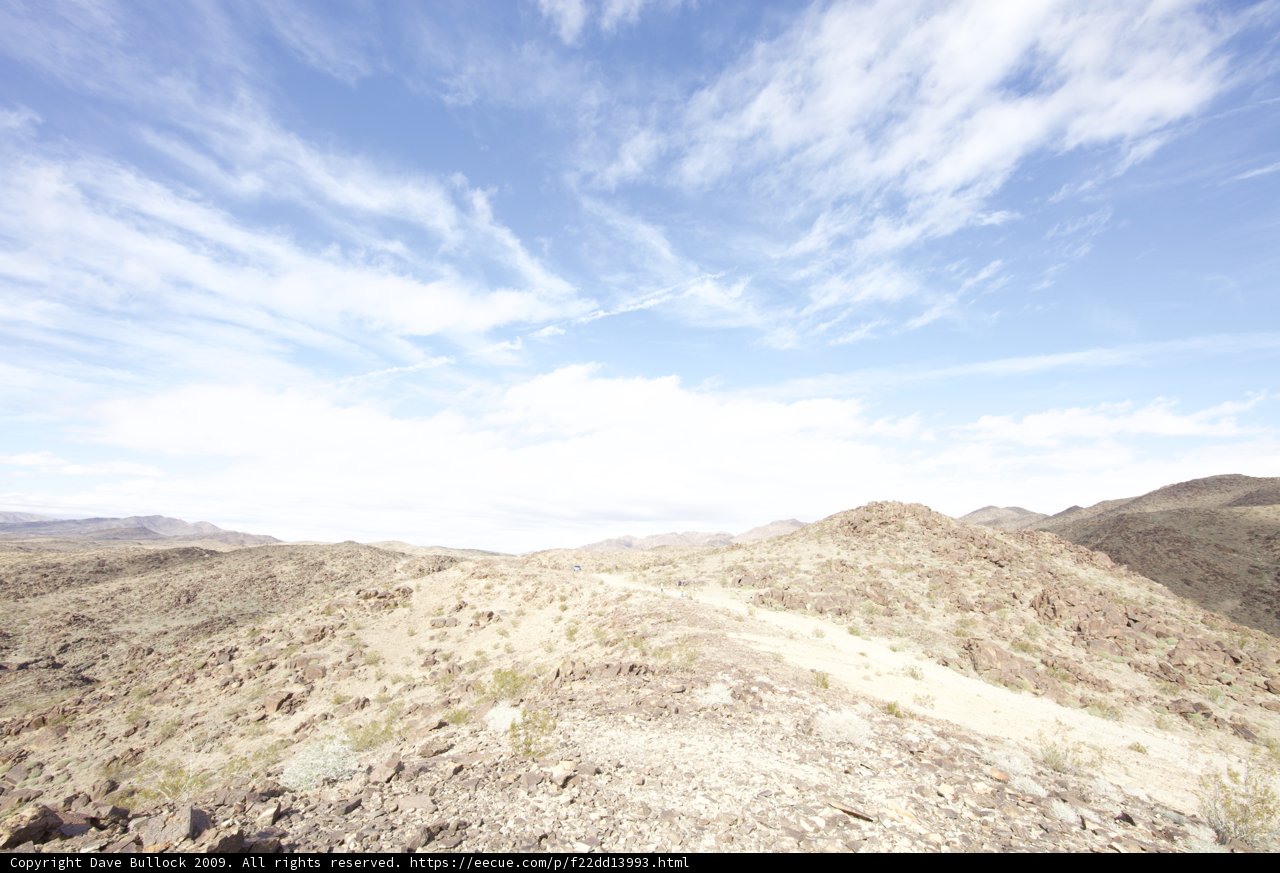 Kite Flying in the Joshua Tree Desert