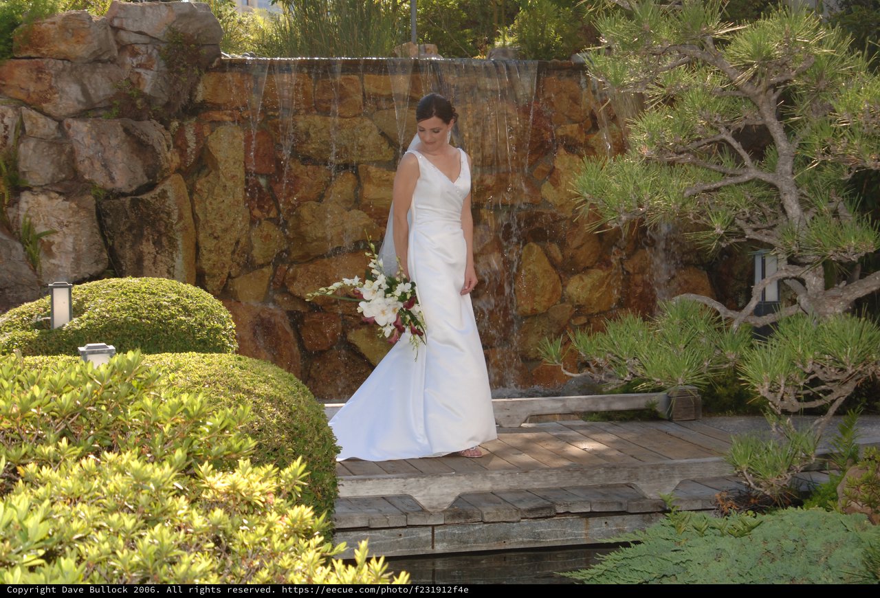 Bride Standing Before Garden Waterfall in White Gown