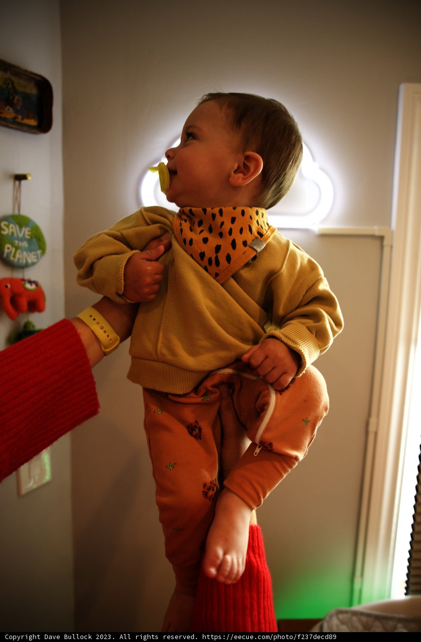 Wesley's Playful Morning