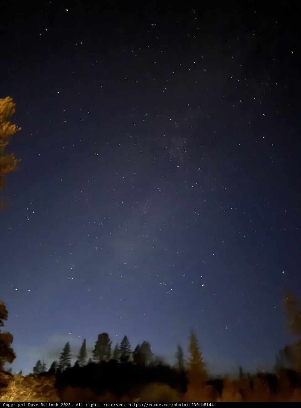 Whispers of the Night Sky