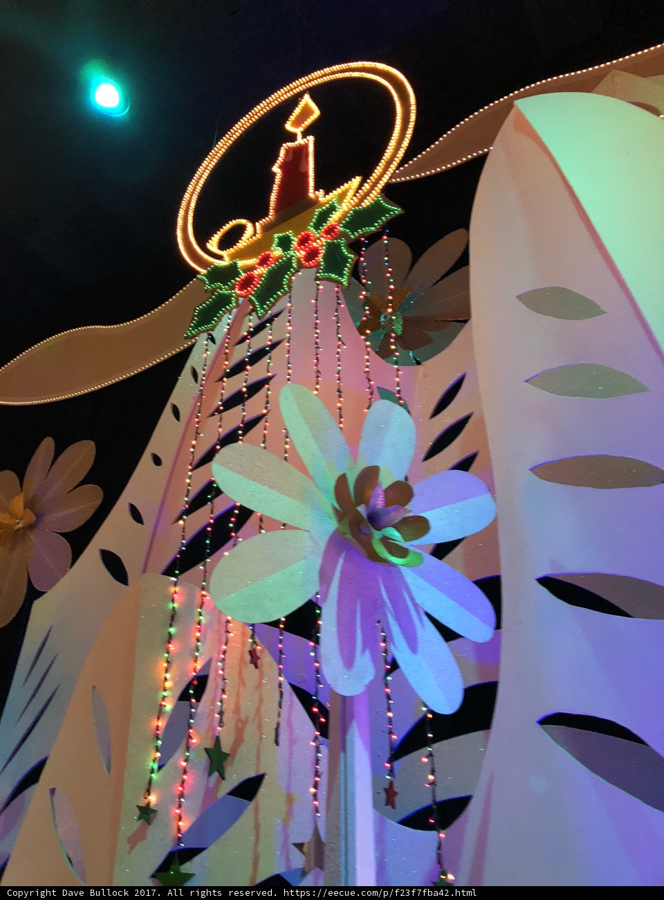 Illuminating Floral Display