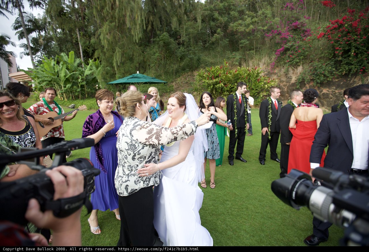 A Wedding to Remember