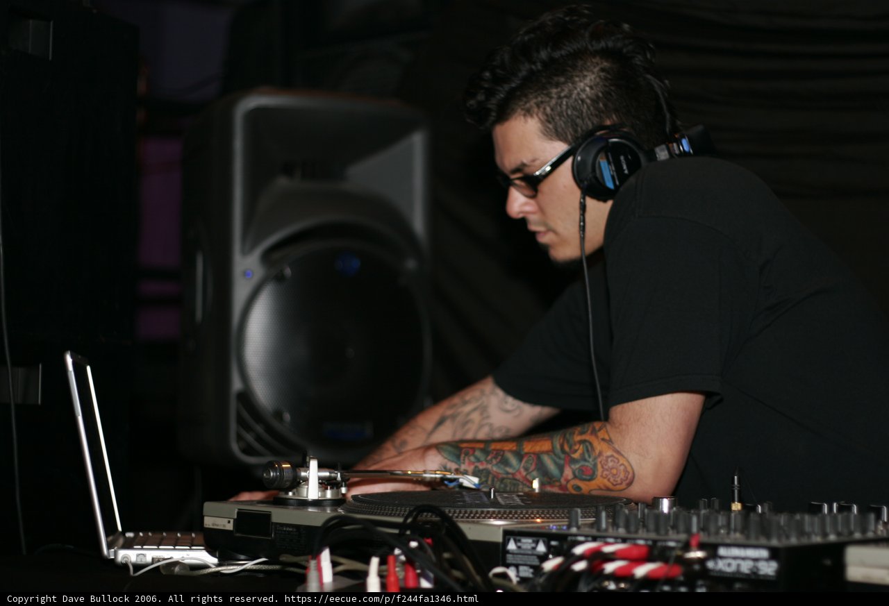 The DJ's Artistic Performance