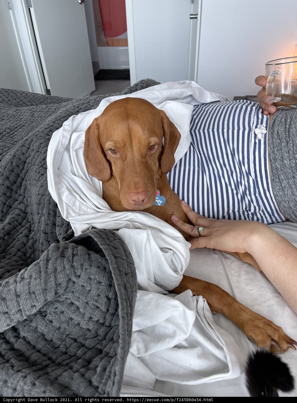 Snuggle Buddies