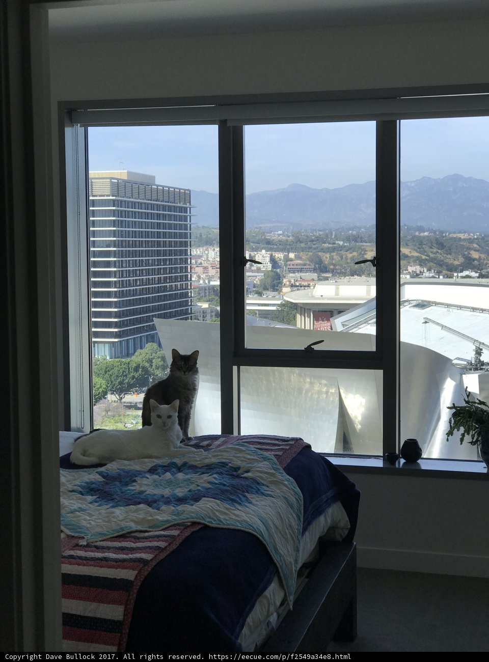Sunny Nap Time