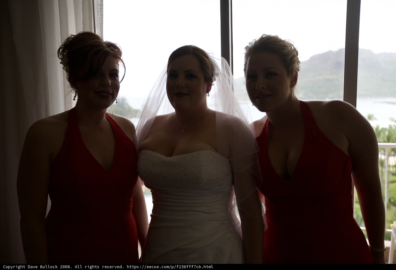 Three Women Dazzle in Red Evening Gowns