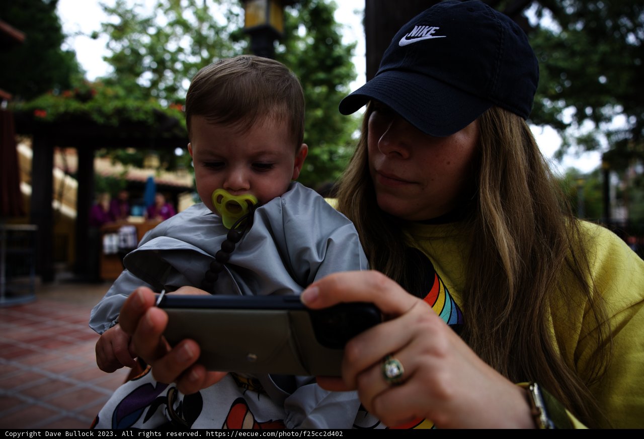 Magical Moments at Disneyland