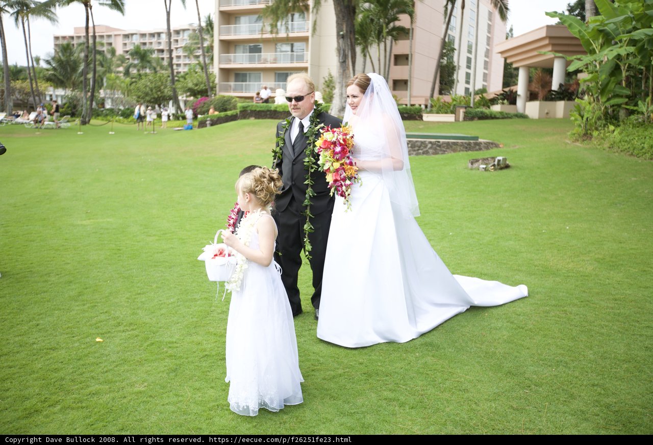 A Beautiful Hawaiian Wedding