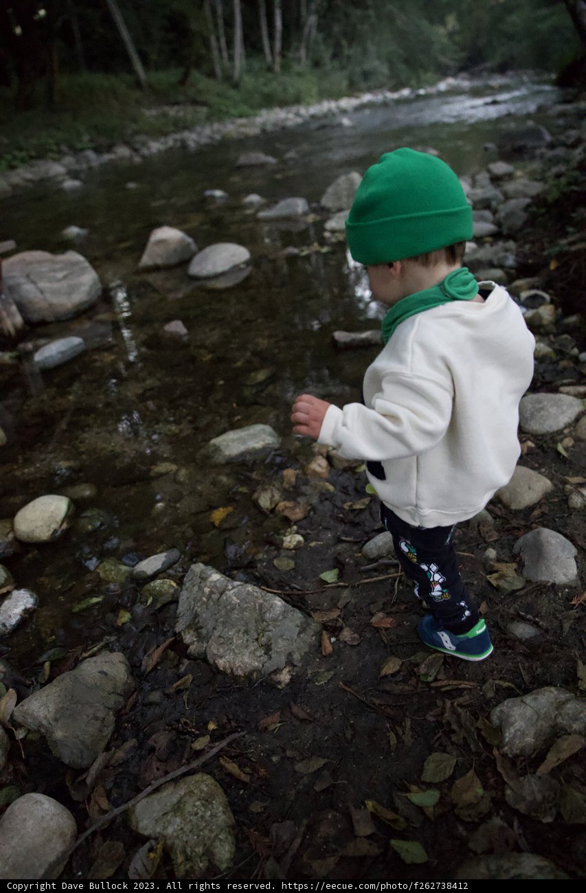 Young Explorer: A Big Sur Adventure