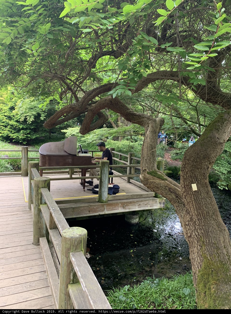 Piano Serenade on the Park Bridge