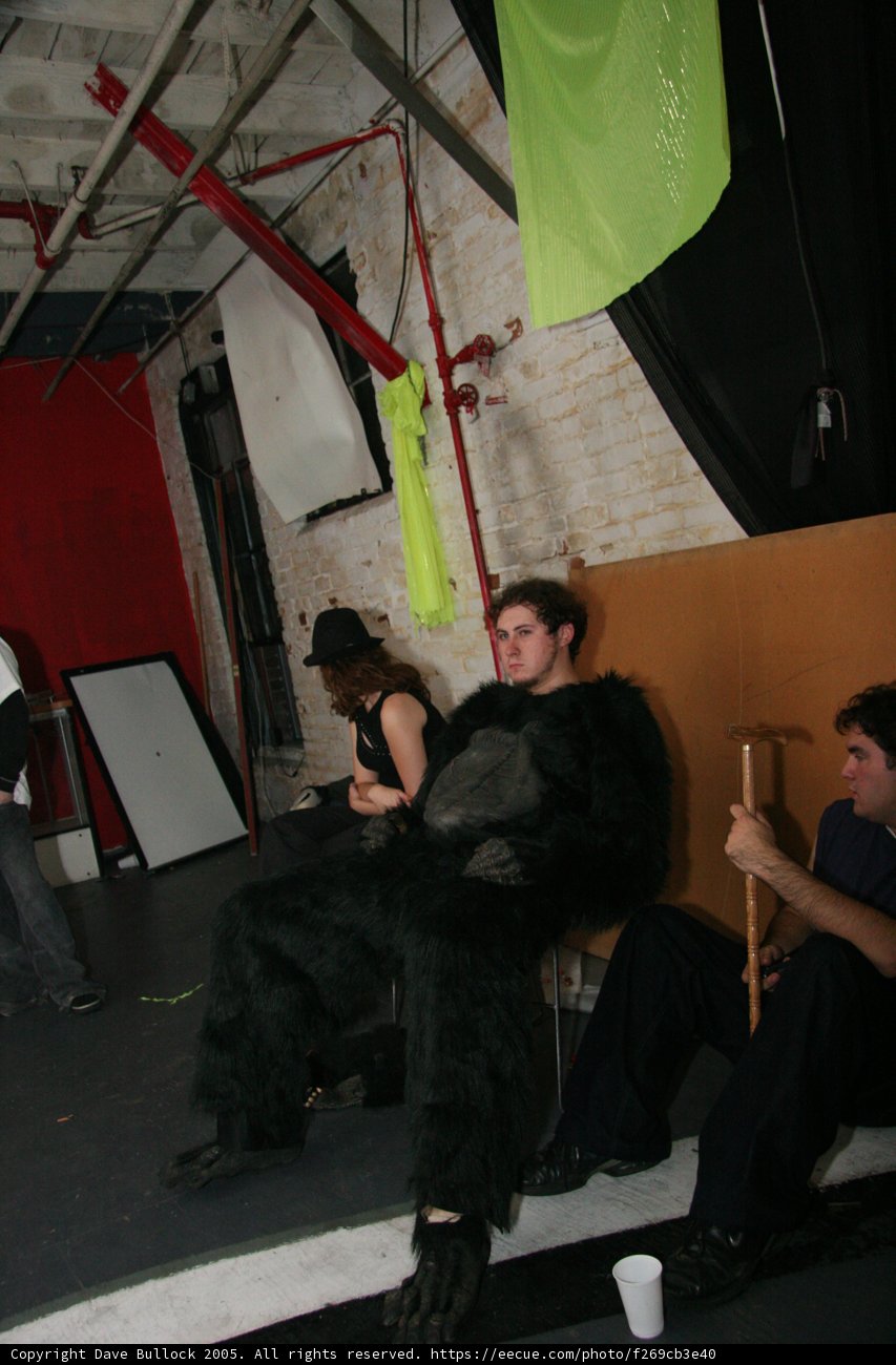 Gorilla Man in the Wild