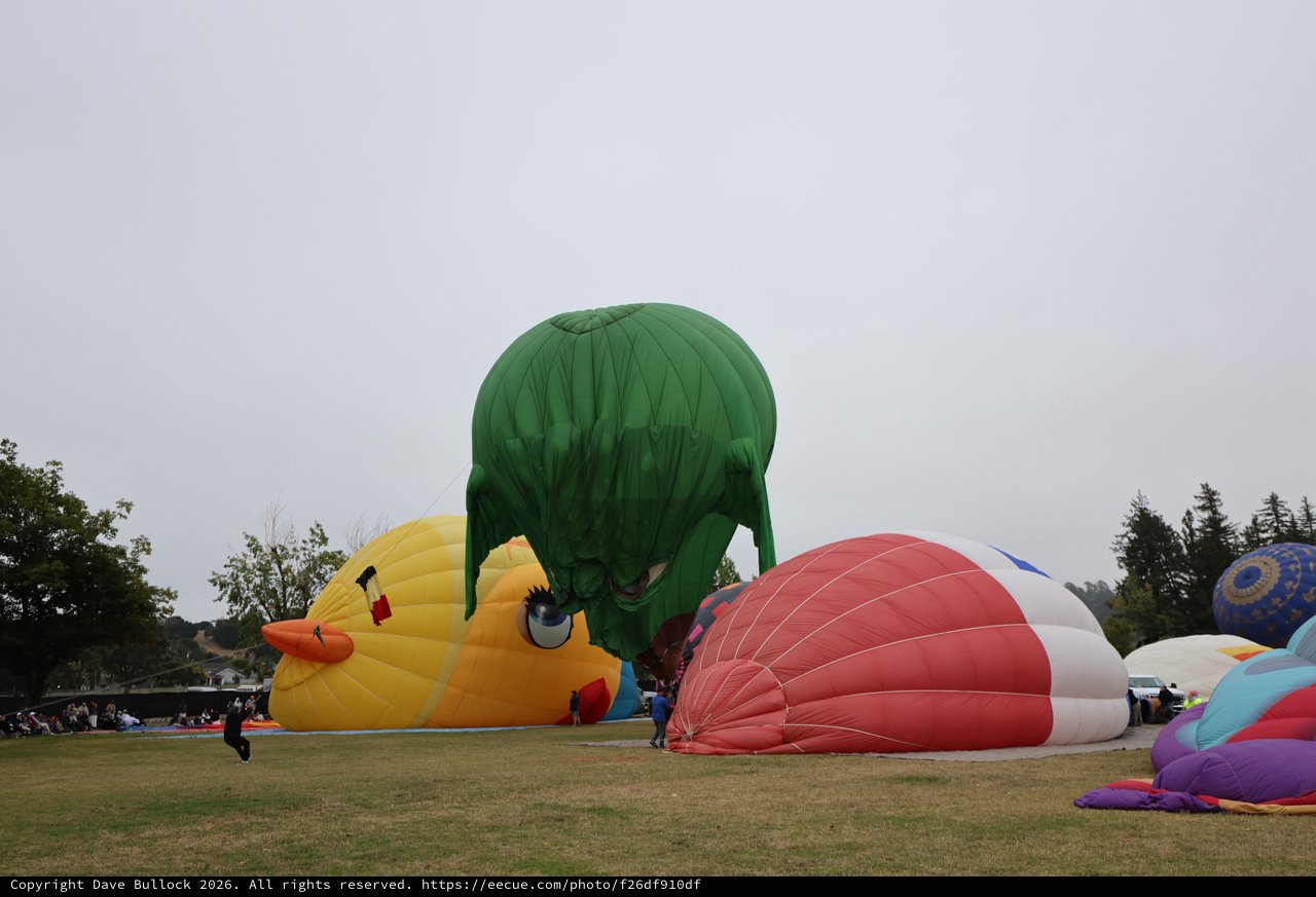 Giant Novelty Balloons Inflate at Sonoma County Festival