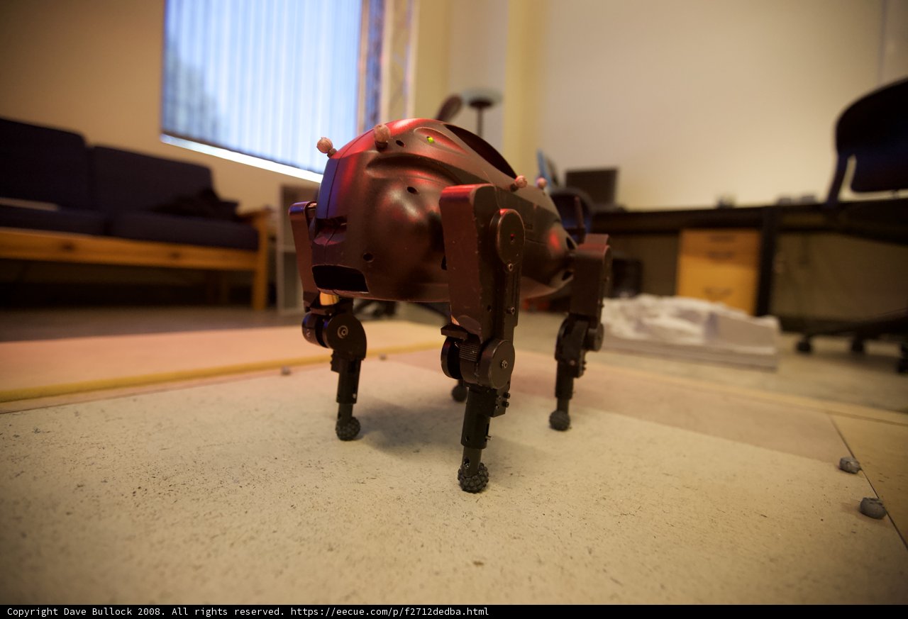 Robotic Figurine on Hardwood Floor