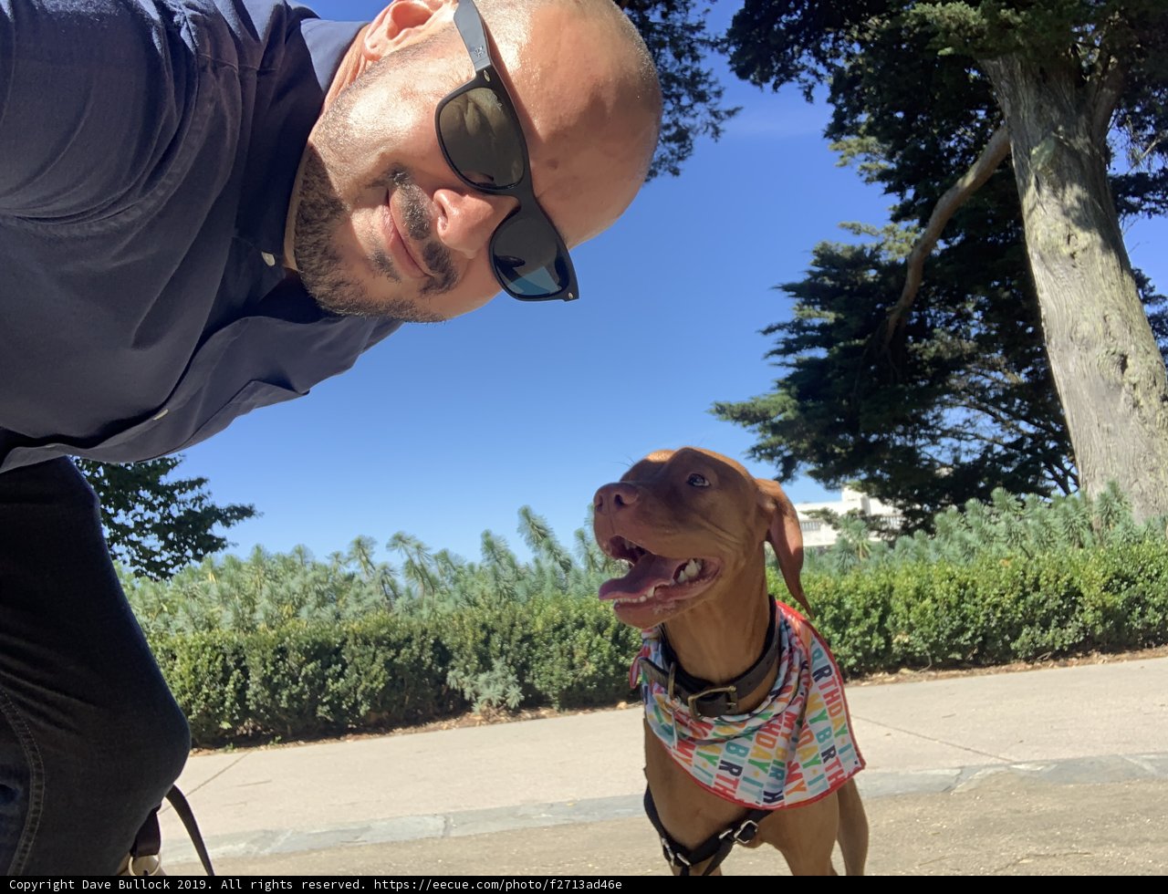 Man and His Dog Enjoying the Outdoors