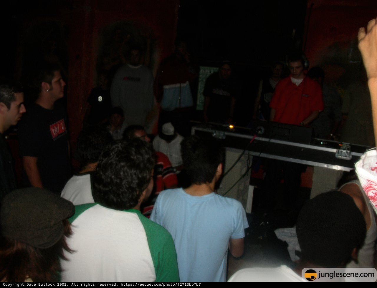 Nightclub DJ and Crowd