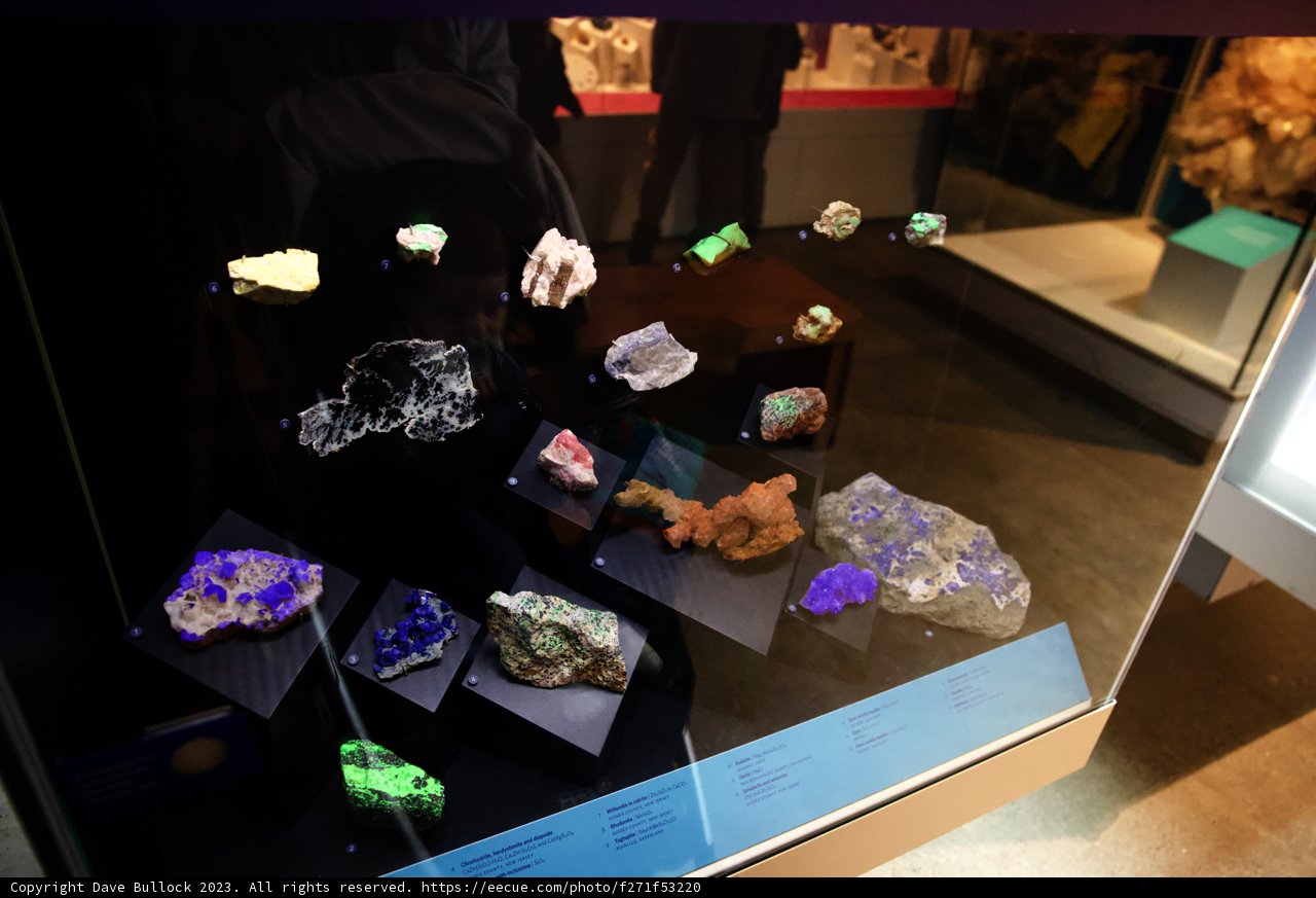 Treasures of the Earth: A Dazzling Display