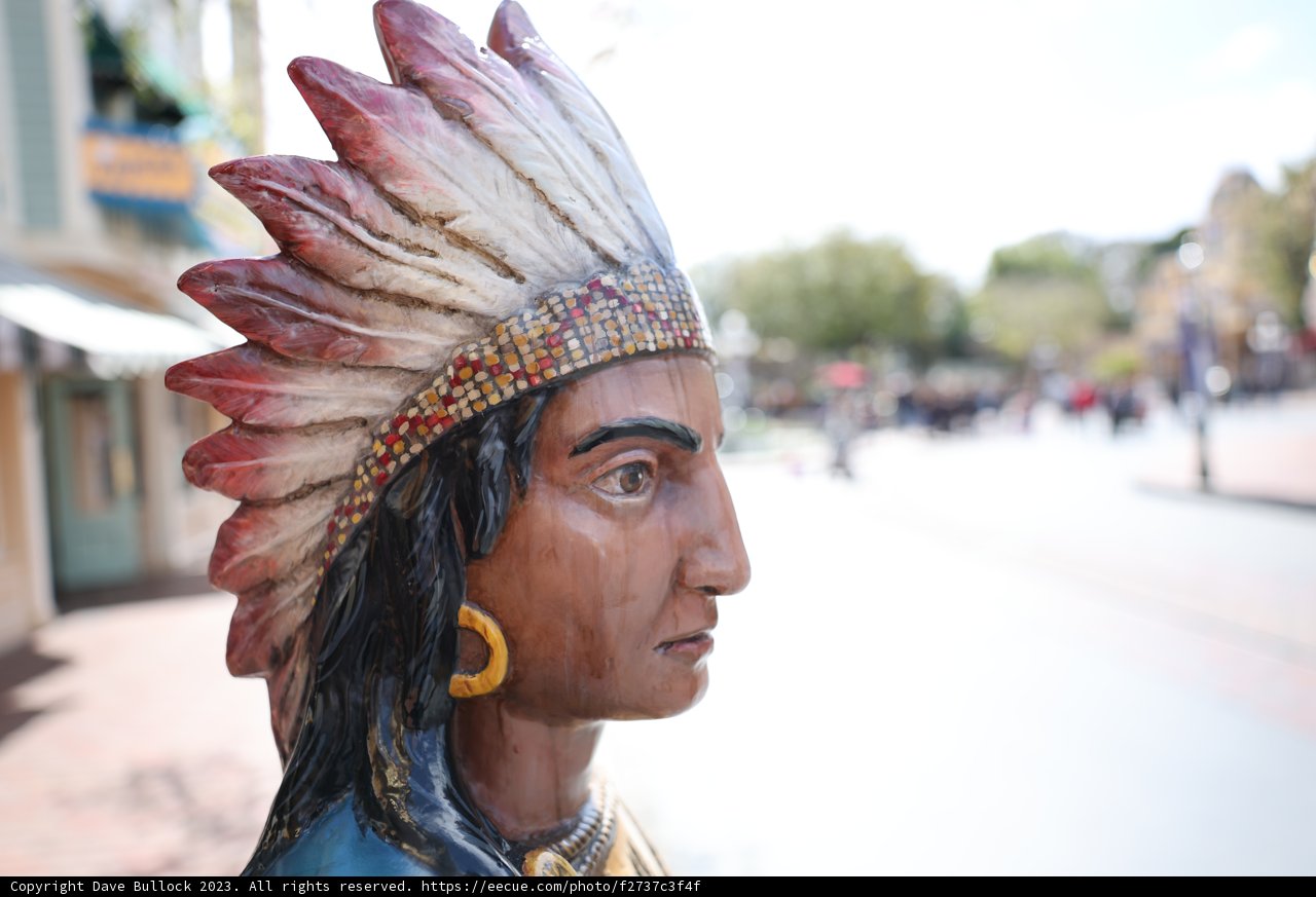 A Majestic Indian Chief with a Feather Headdress