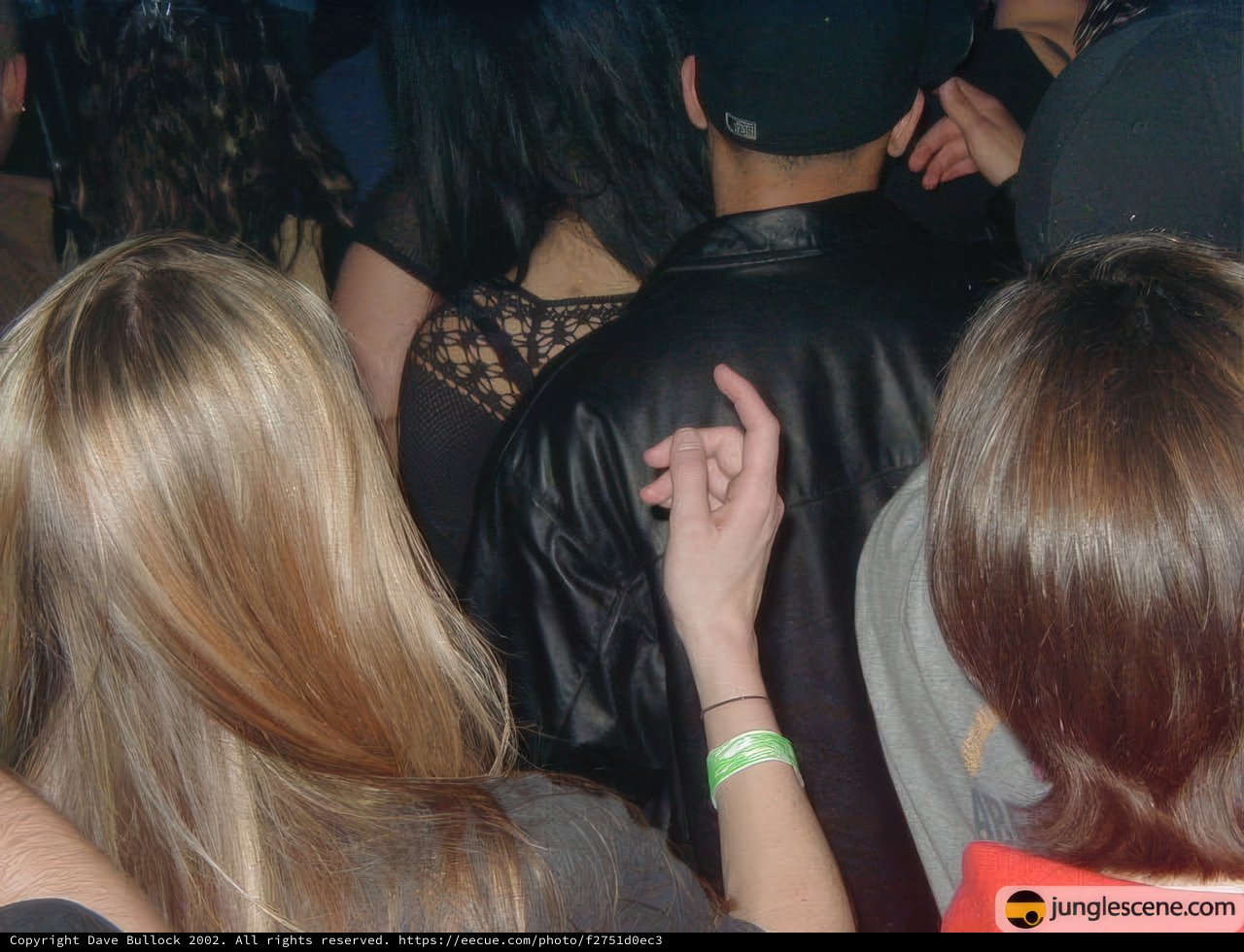 Nightclub Fun with Friends