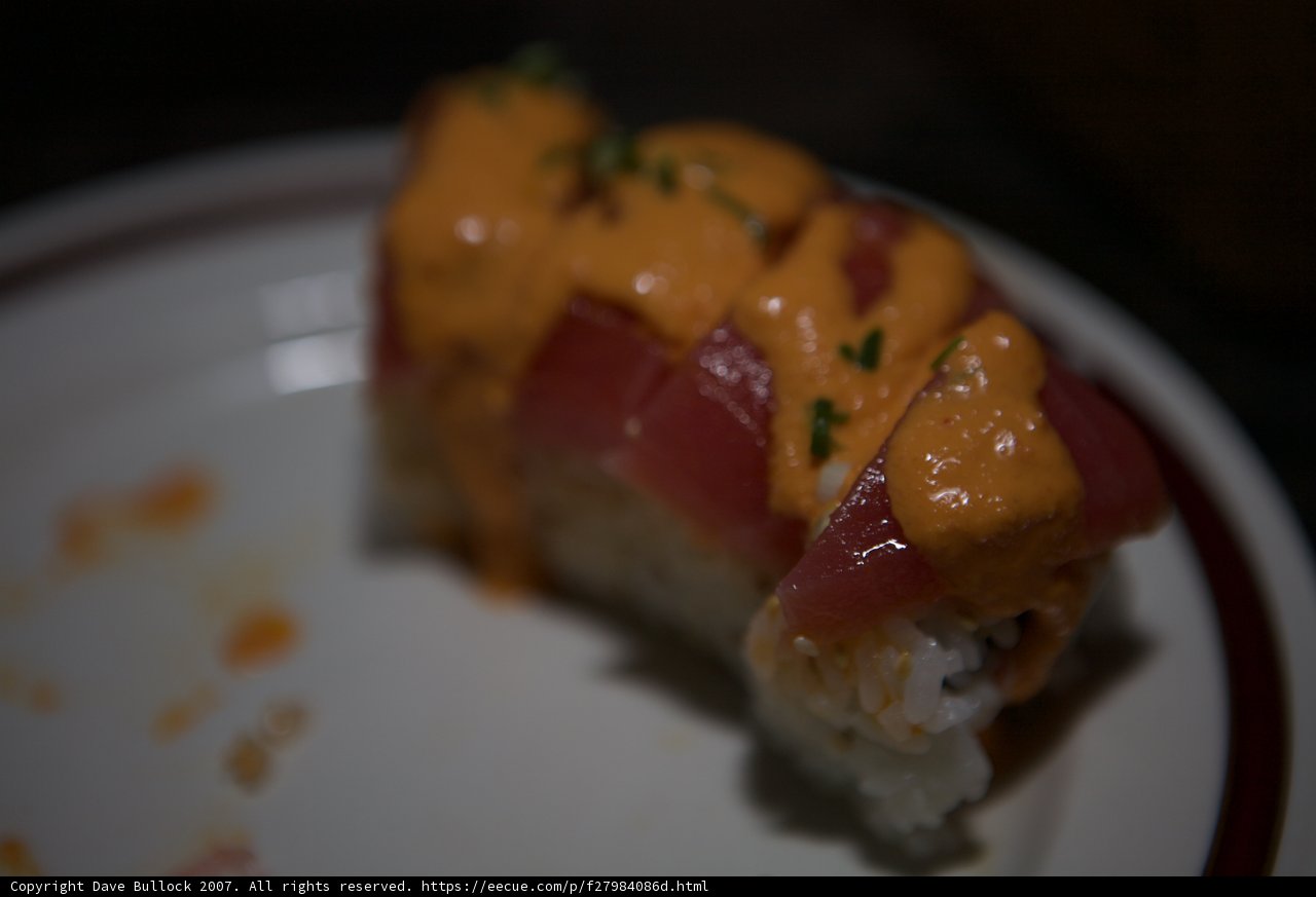 Savoring Sushi on a Plate