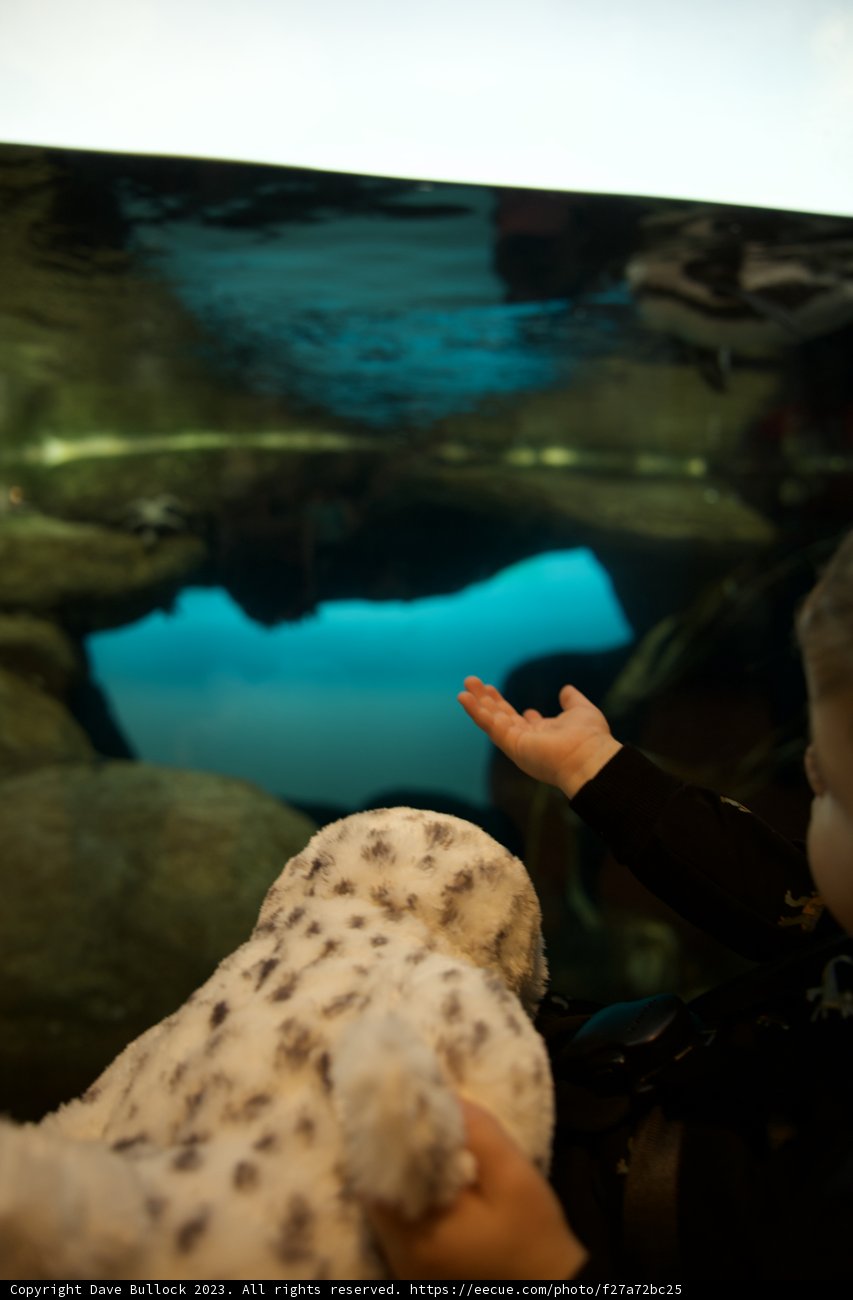Interactive Aquatic Adventure at the November Academy of Sciences