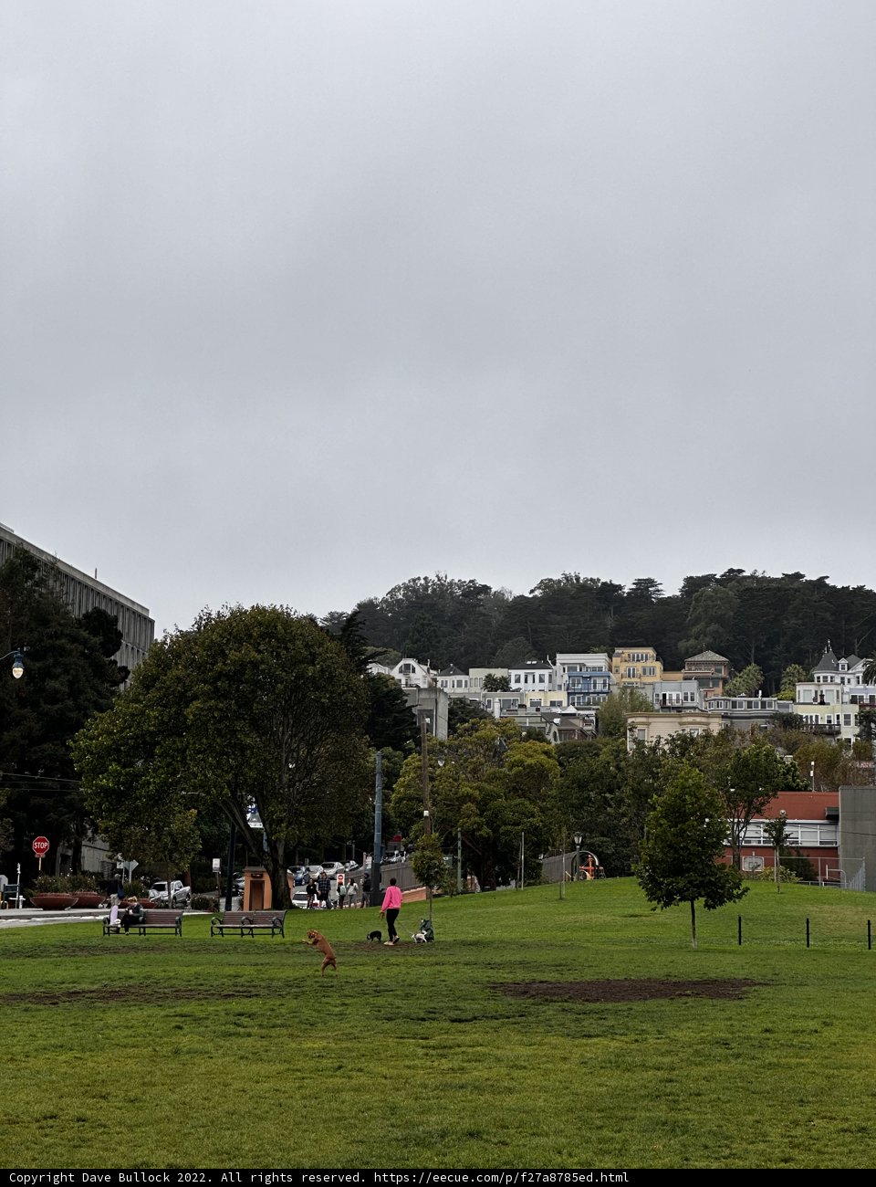 A Day in Duboce Park