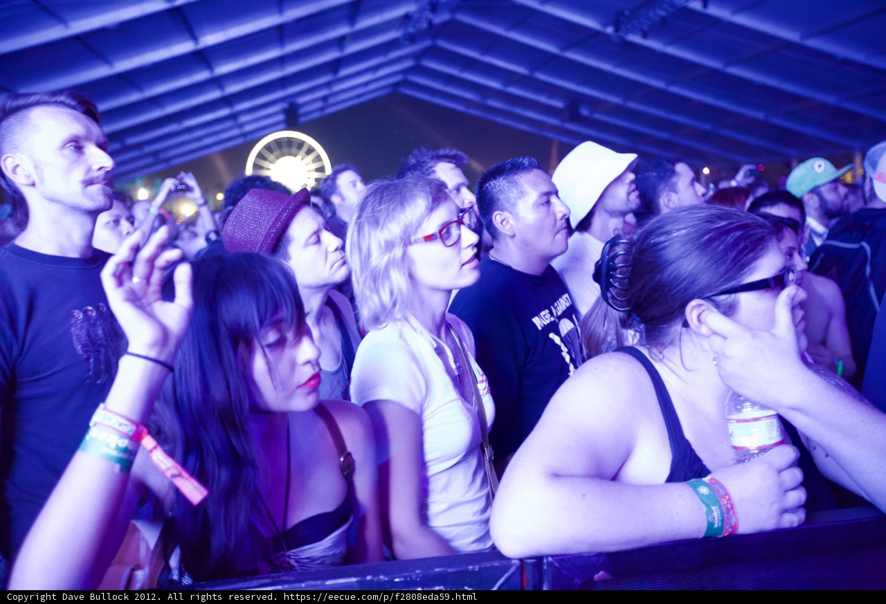 Partygoers rock out to the beats at Coachella
