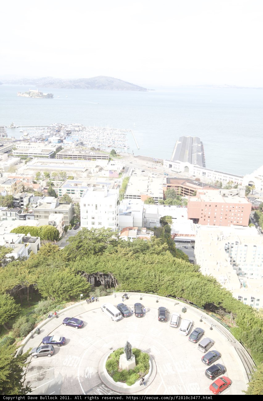 Overlooking the Urban Oasis