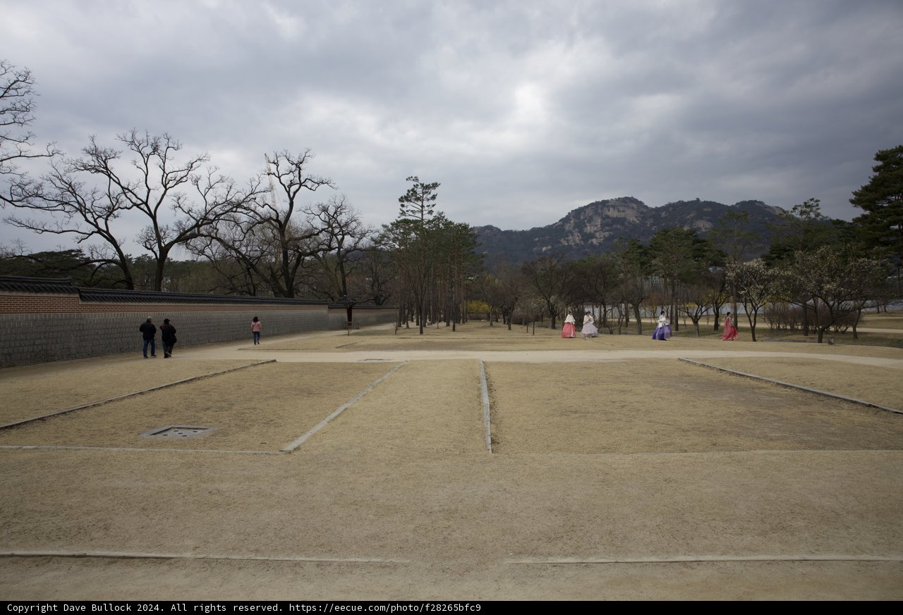 Ethereal Strolls in Korea's Park, 2024