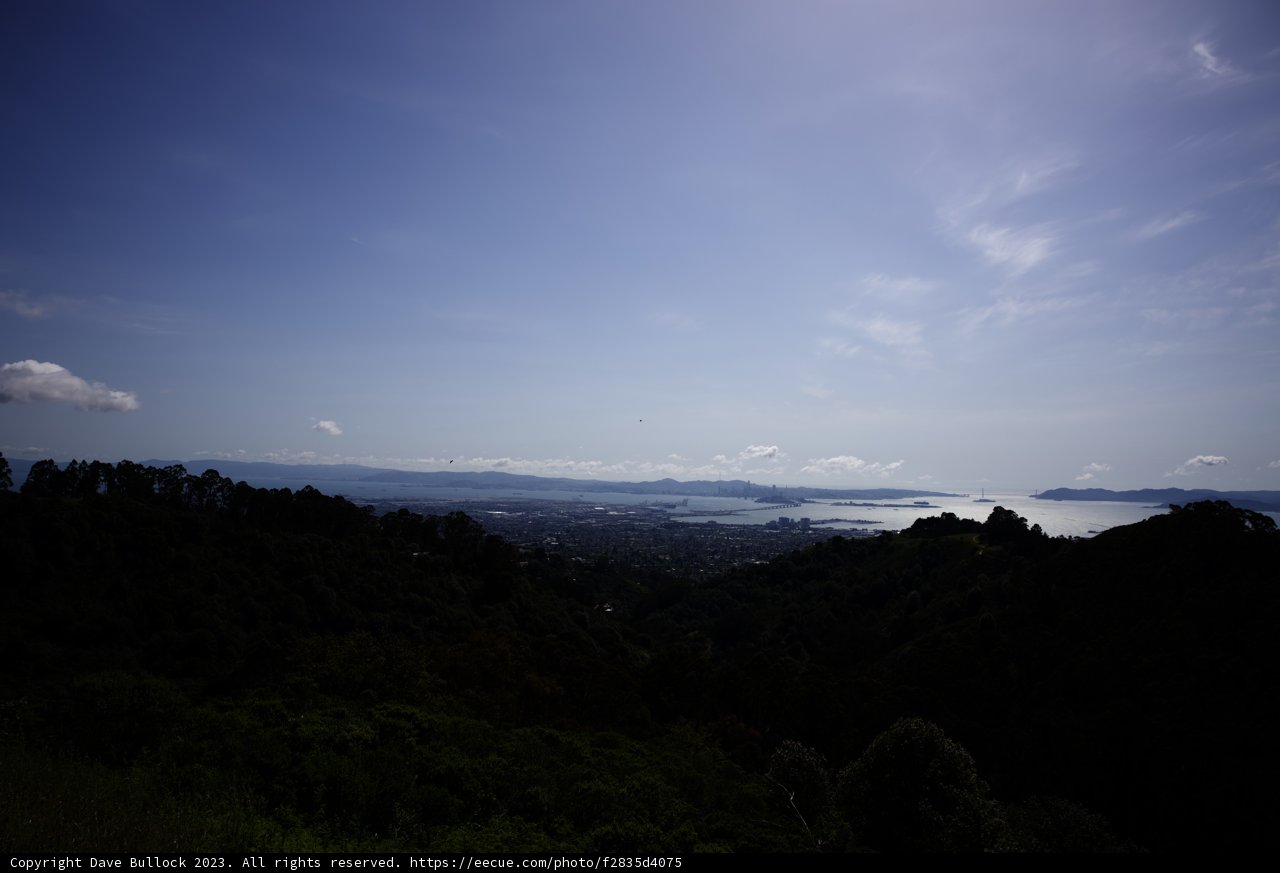 A Serene Hilltop View in Berkeley