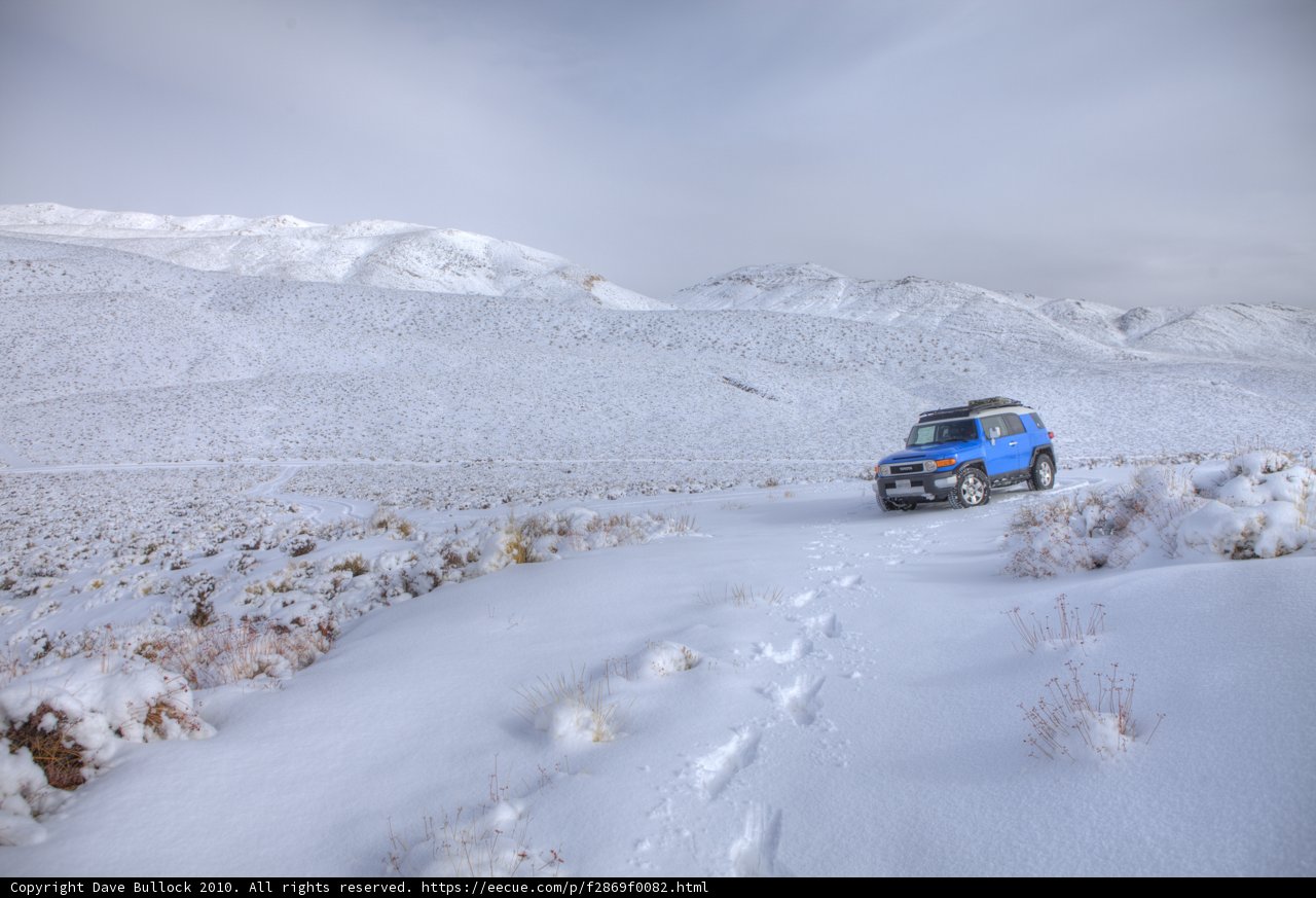 Driving Through a Winter Wonderland