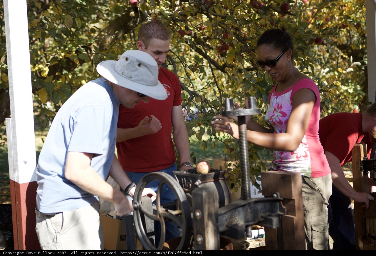 Working at the Apple Farm