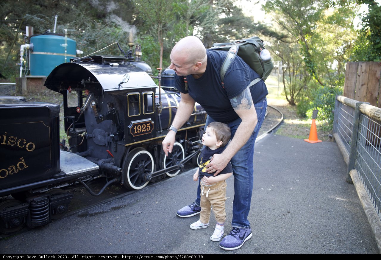 Tiny Trains, Big Adventures at SF Zoo