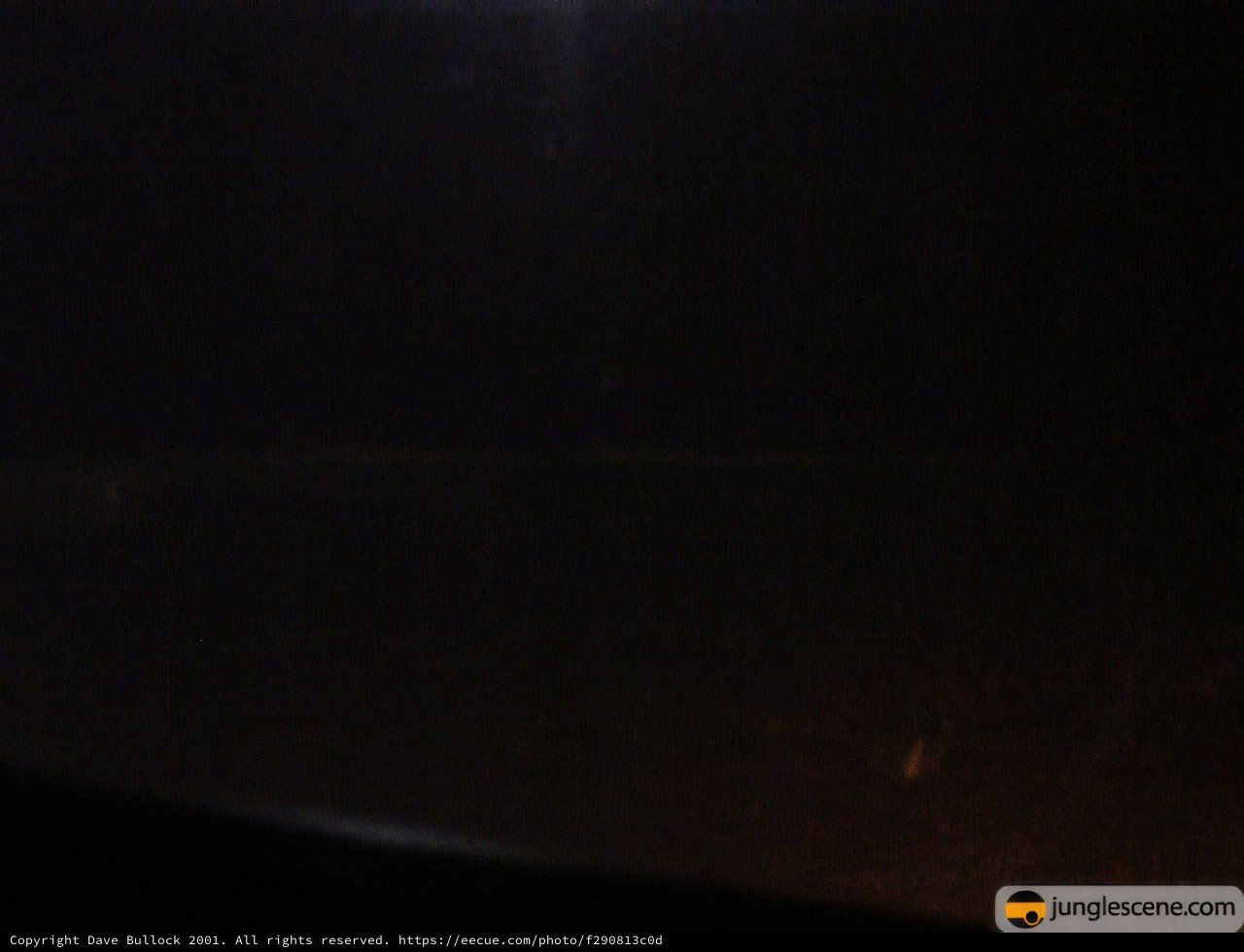 Nighttime Drive