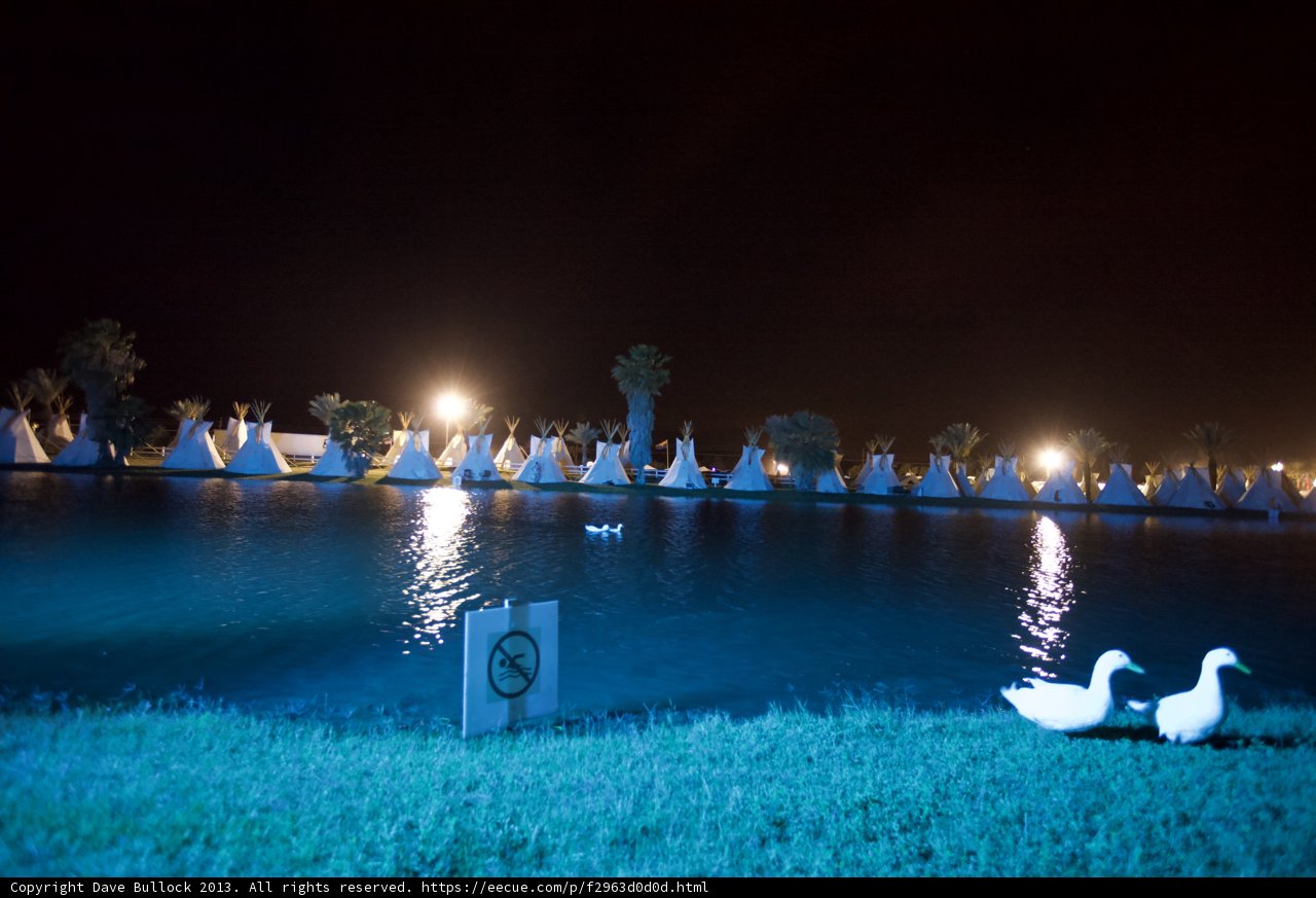 Two Geese by the Moonlit Lake