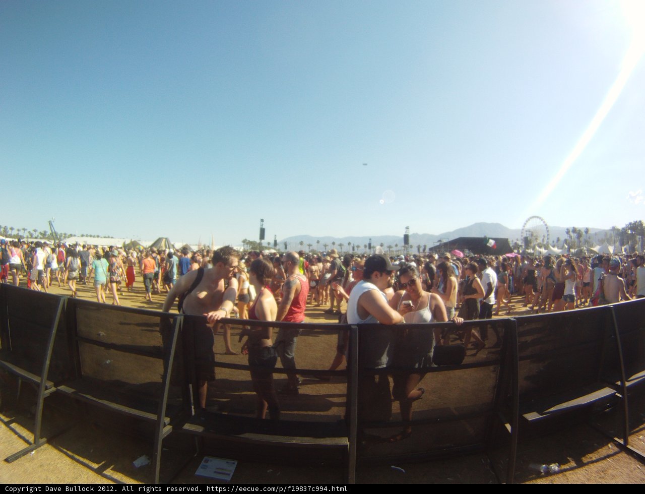 Music Fest Madness