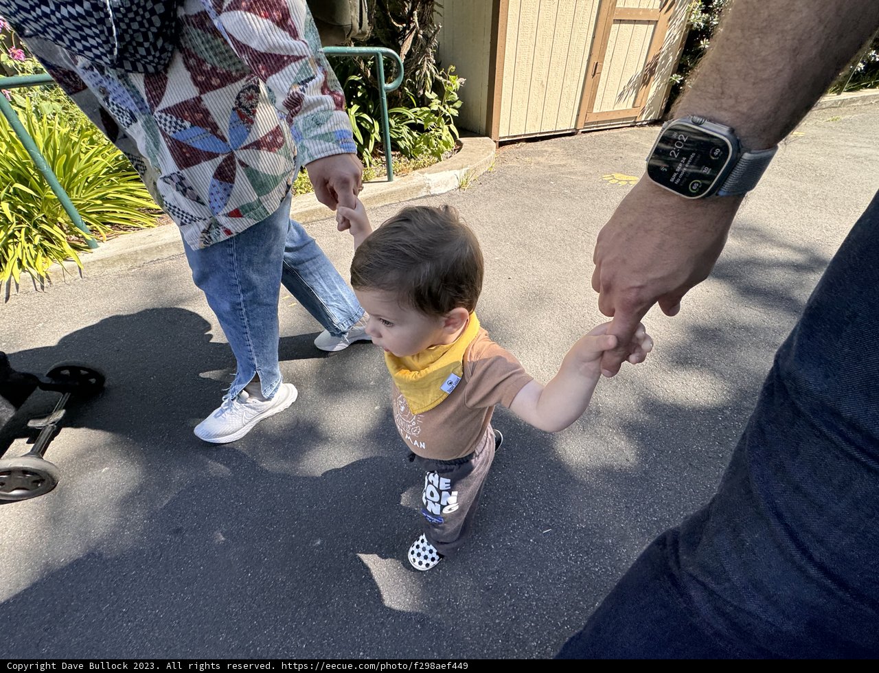 A Stroll at San Francisco Zoo & Gardens