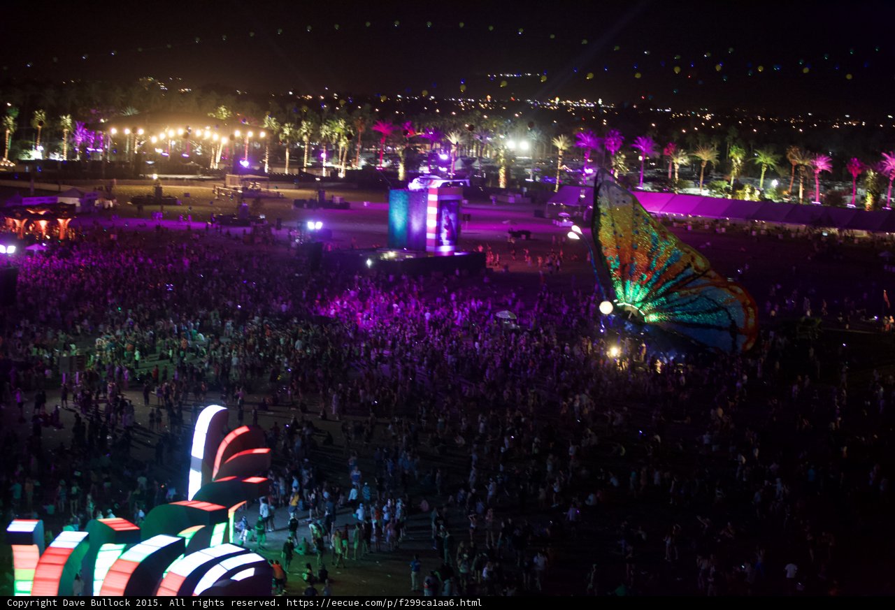 Festival frenzy