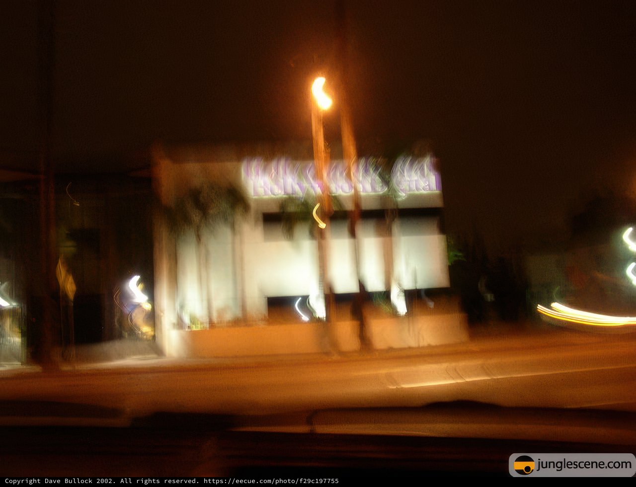 Night Lights in the Urban Jungle