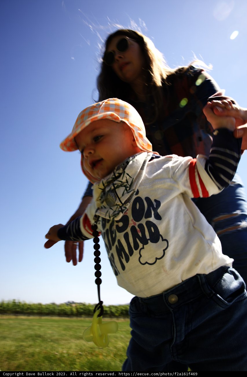 Soaring High: Family Fun with Kites